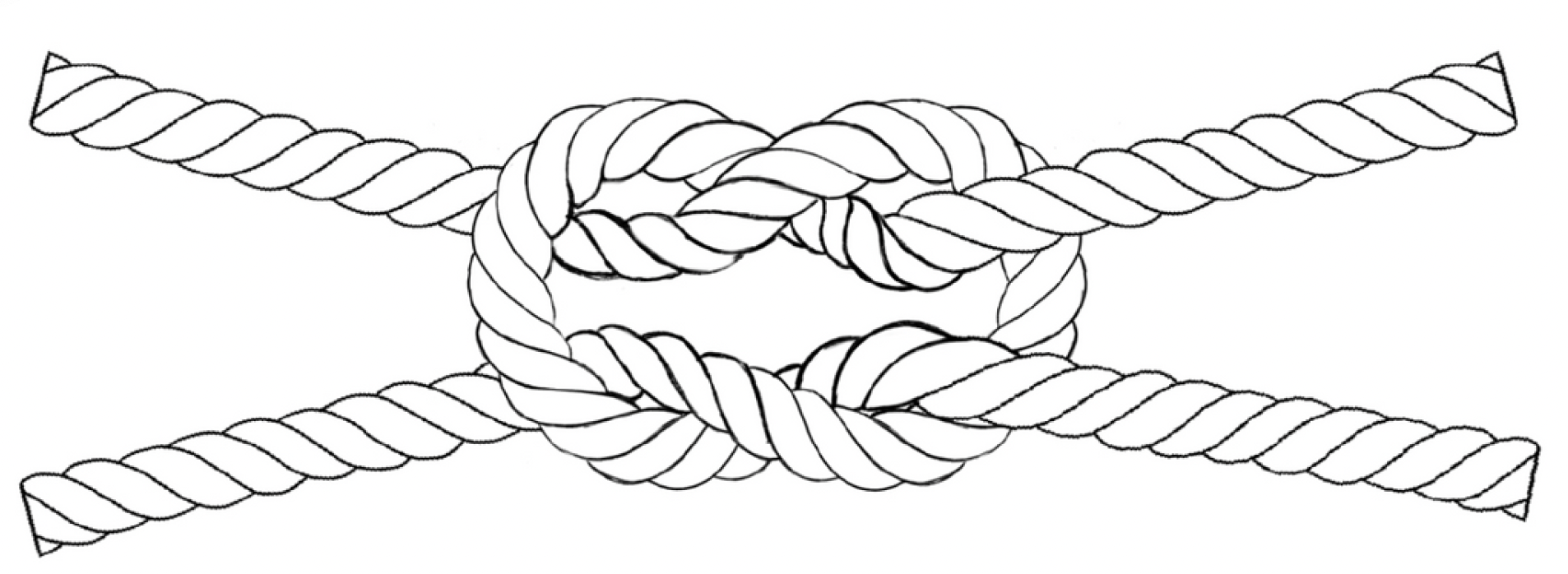 Final Results Visualization